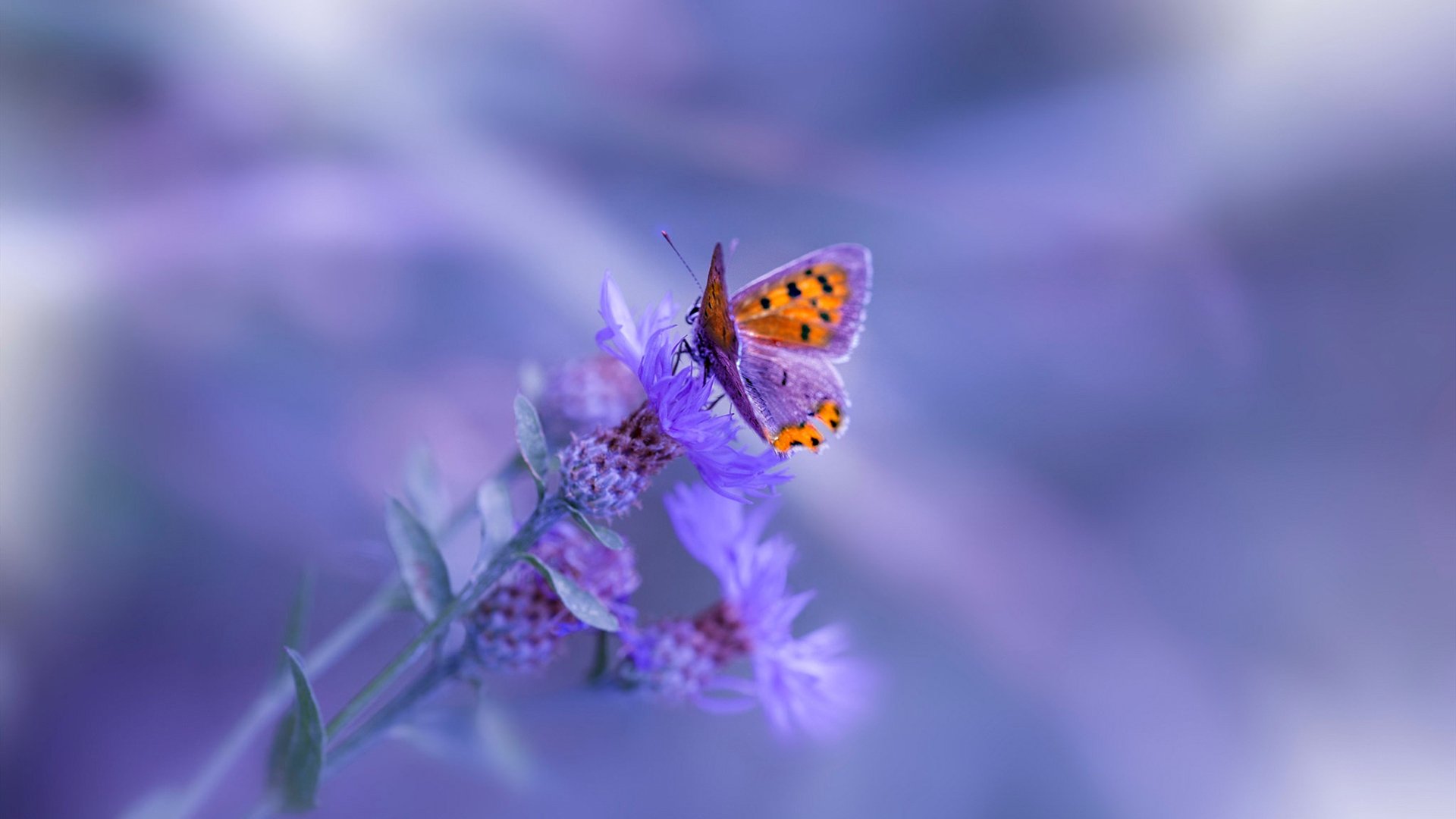 国际热身赛中国女足战平 球迷期待新战术，国足热身赛最近