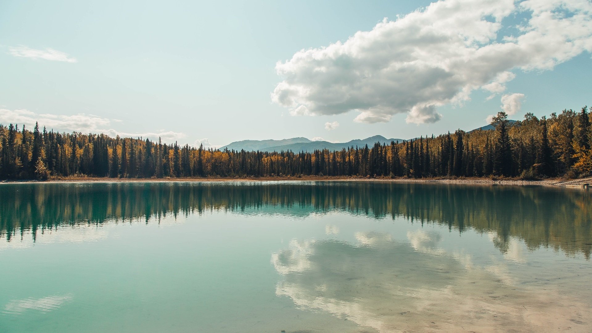 “胡利安·门德斯：阿根廷美洲狮队的前场尖兵，未来值得期待”